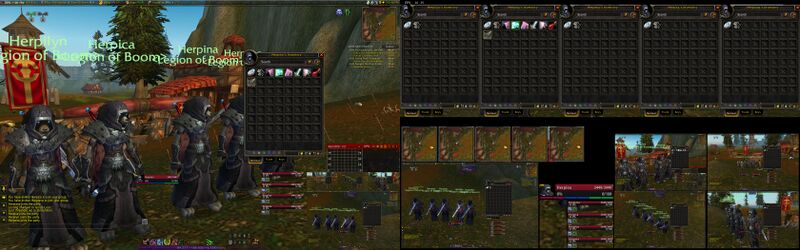 File:WoW-Herpina Team-Bags.jpg